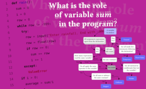 A program code, a question about the role of a variable, and a flowchart to produce the answer.